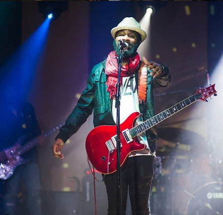 Mahogany Revo Guitar Strap